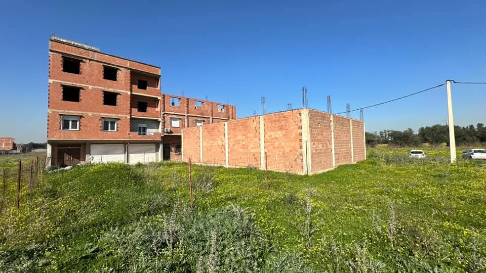 قطعة أرض _للبيع في  اولاد شبل ولاية الجزائرEl Wakil immobilier