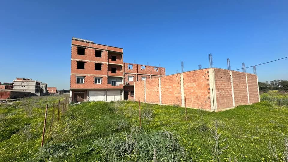 قطعة أرض _للبيع في  اولاد شبل ولاية الجزائرEl Wakil immobilier