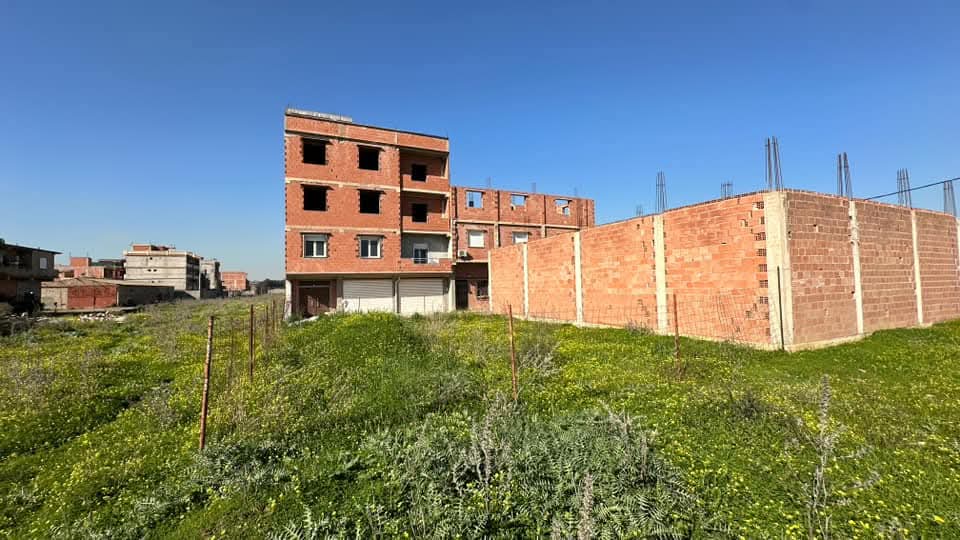 قطعة أرض _للبيع في  اولاد شبل ولاية الجزائرEl Wakil immobilier
