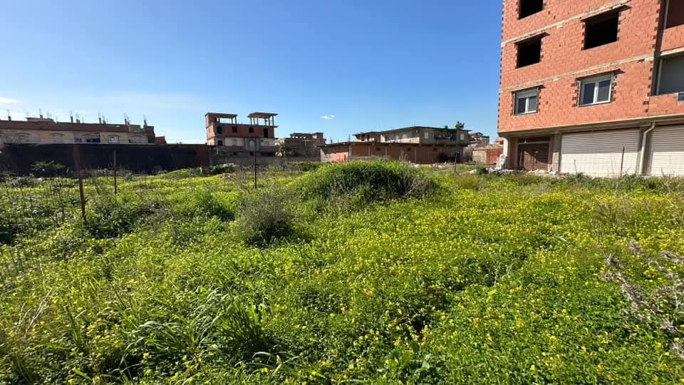 قطعة أرض _للبيع في  اولاد شبل ولاية الجزائرEl Wakil immobilier