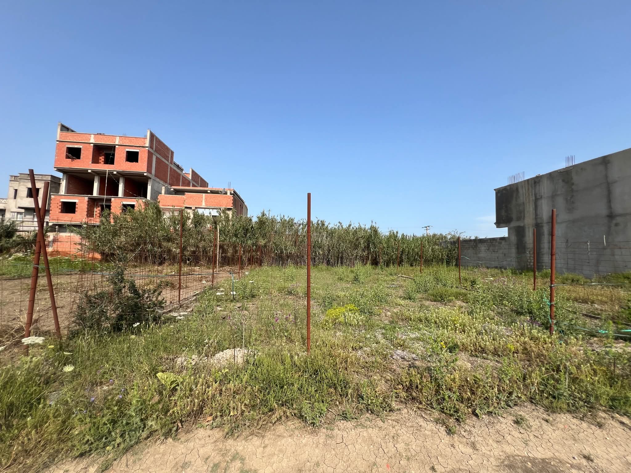 قطعة أرض _للبيع في تسالة المرجة ولاية الجزائر