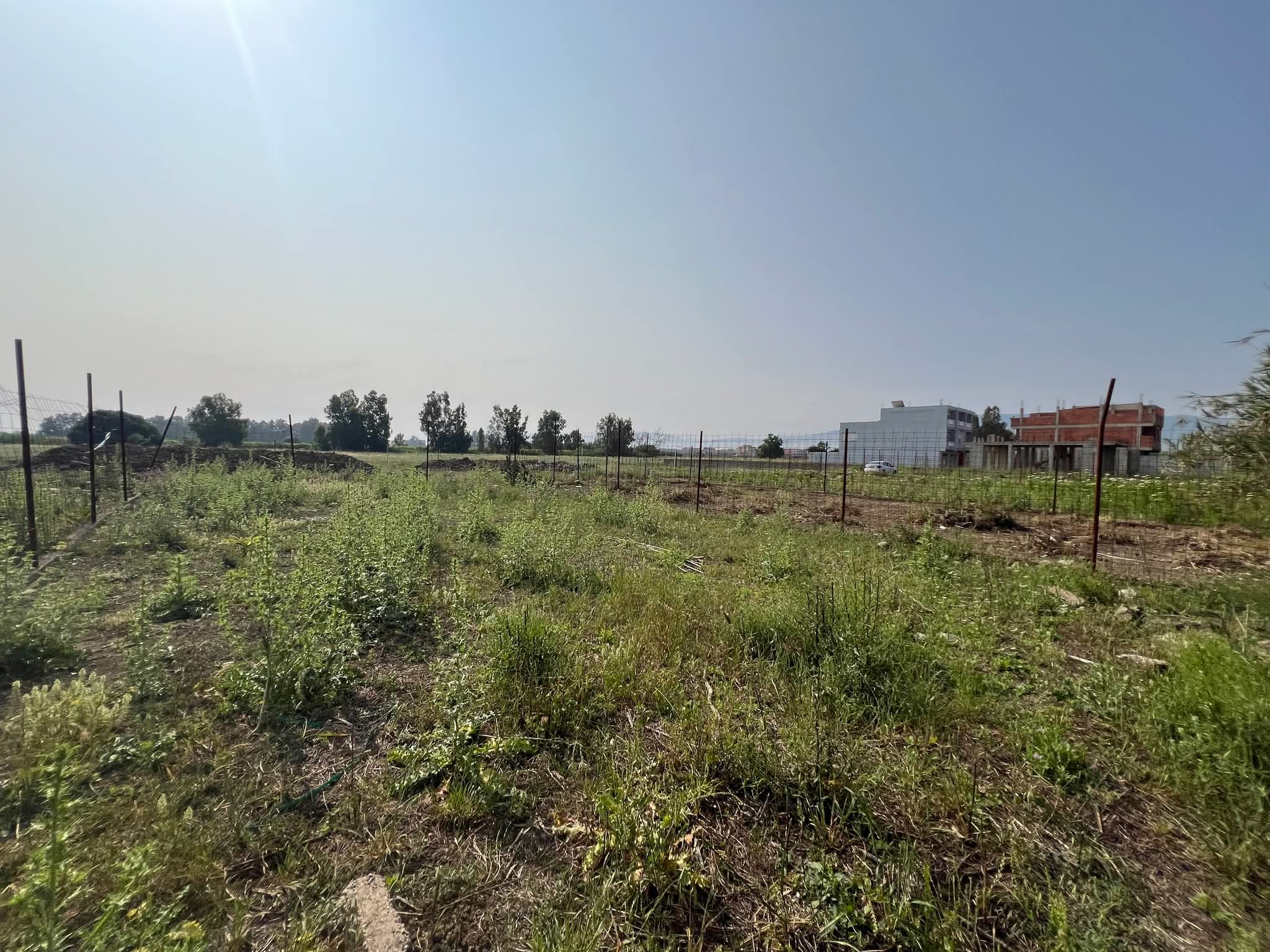 El Wakil immobilier agence immobiliere en Algerie قطعة أرض _للبيع في تسالة المرجة ولاية الجزائر