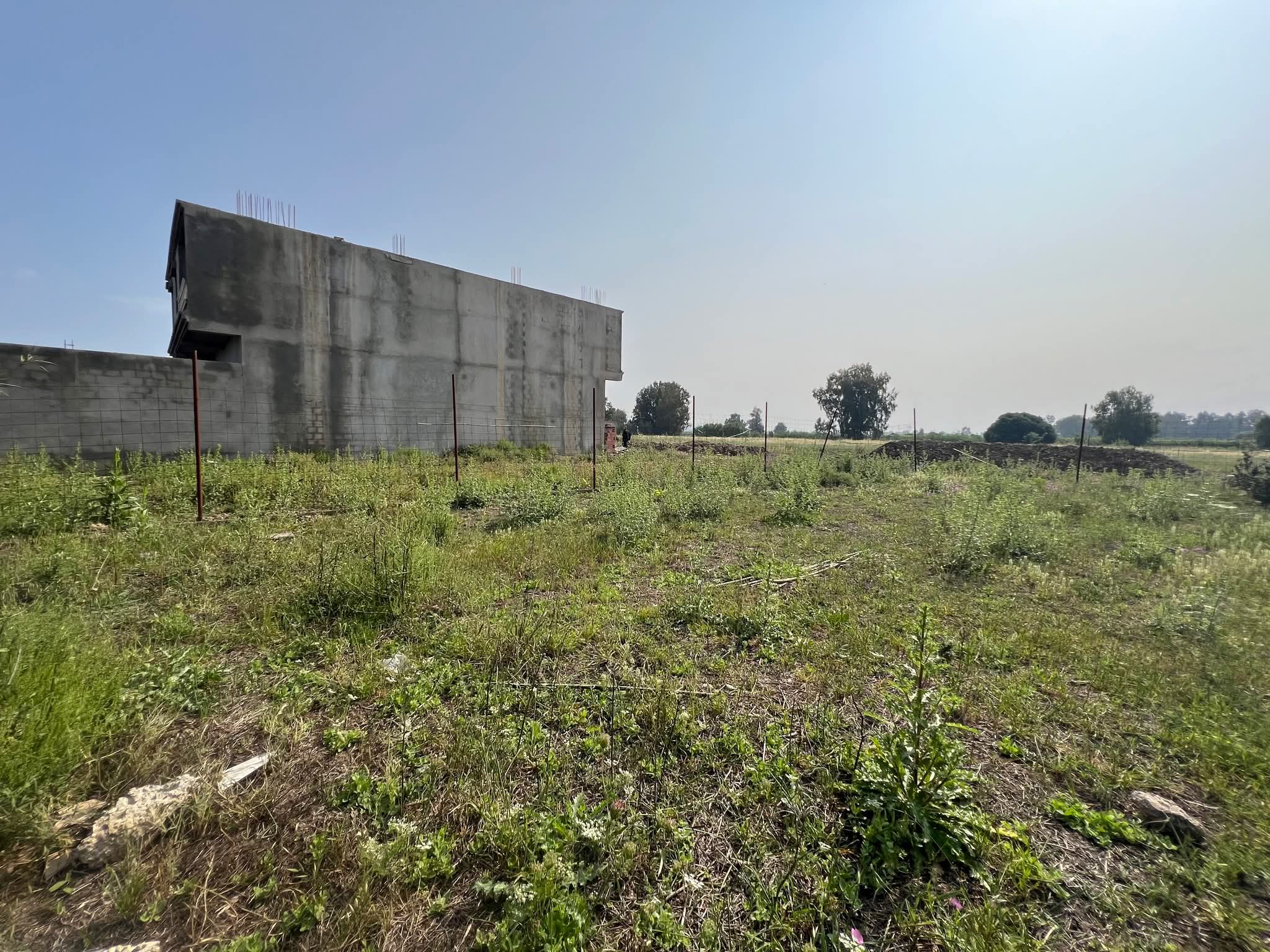 El Wakil immobilier agence immobiliere en Algerie قطعة أرض _للبيع في تسالة المرجة ولاية الجزائر